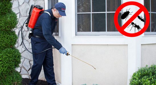 Altıevler Gümüşkurt İlaçlama böcek ilaçlama ve haşere kontrolü — ilaclama-tr.com